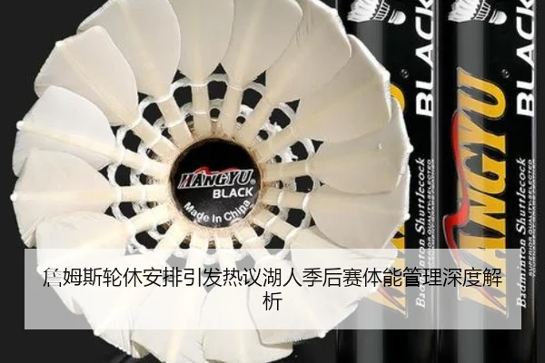 詹姆斯轮休安排引发热议湖人季后赛体能管理深度解析 - kaiyun